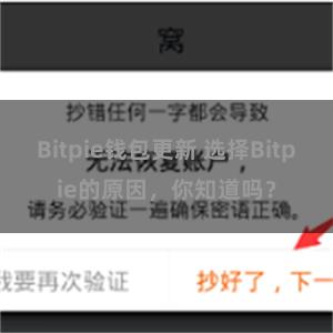 Bitpie钱包更新 选择Bitpie的原因，你知道吗？