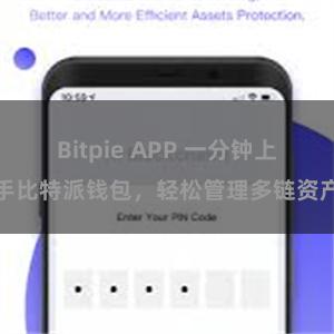 Bitpie APP 一分钟上手比特派钱包，轻松管理多链资产