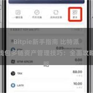 Bitpie新手指南 比特派钱包多链资产管理技巧：全面攻略