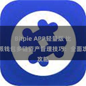 Bitpie APP轻量版 比特派钱包多链资产管理技巧：全面攻略