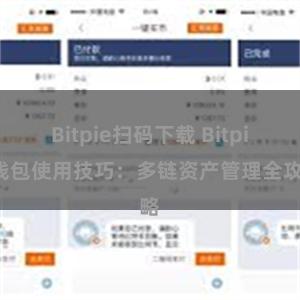 Bitpie扫码下载 Bitpie钱包使用技巧：多链资产管理全攻略