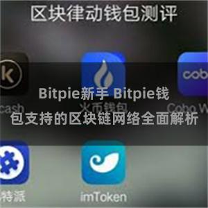 Bitpie新手 Bitpie钱包支持的区块链网络全面解析