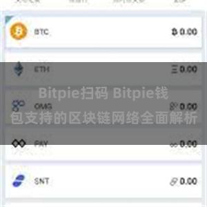 Bitpie扫码 Bitpie钱包支持的区块链网络全面解析