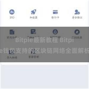 Bitpie最新教程 Bitpie钱包支持的区块链网络全面解析