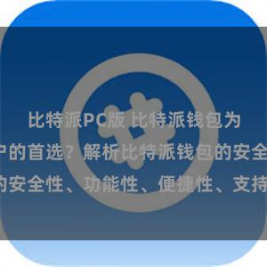 比特派PC版 比特派钱包为何是专业用户的首选？解析比特派钱包的安全性、功能性、便捷性、支持性等优势。