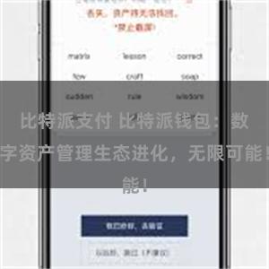 比特派支付 比特派钱包：数字资产管理生态进化，无限可能！