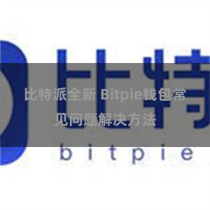 比特派全新 Bitpie钱包常见问题解决方法