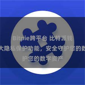 Bitpie跨平台 比特派钱包：强大隐私保护功能，安全守护您的数字资产