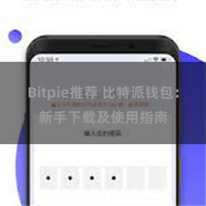 Bitpie推荐 比特派钱包：新手下载及使用指南