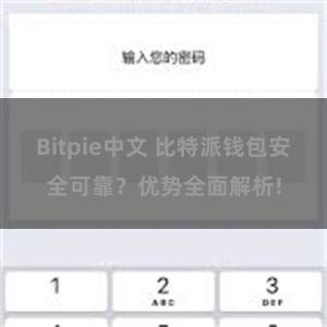 Bitpie中文 比特派钱包安全可靠？优势全面解析!