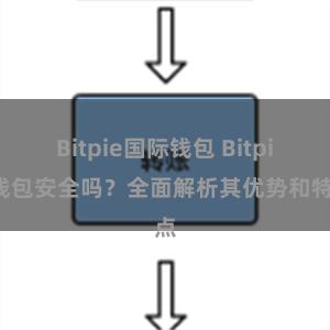 Bitpie国际钱包 Bitpie钱包安全吗？全面解析其优势和特点