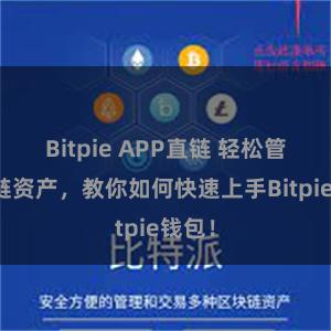 Bitpie APP直链 轻松管理多链资产，教你如何快速上手Bitpie钱包！