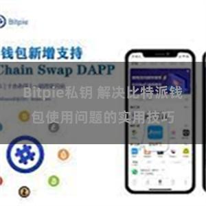 Bitpie私钥 解决比特派钱包使用问题的实用技巧