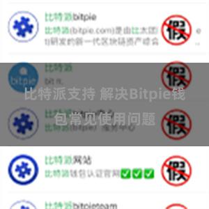 比特派支持 解决Bitpie钱包常见使用问题