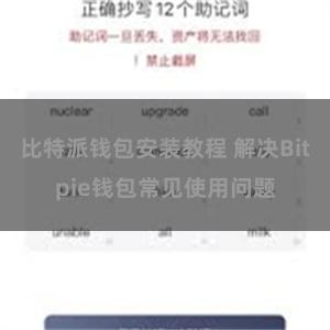 比特派钱包安装教程 解决Bitpie钱包常见使用问题