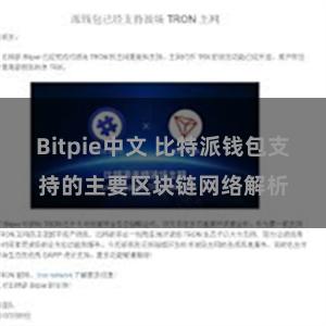 Bitpie中文 比特派钱包支持的主要区块链网络解析