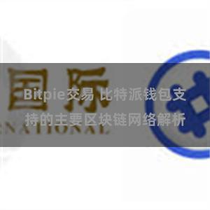 Bitpie交易 比特派钱包支持的主要区块链网络解析