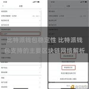 比特派钱包稳定性 比特派钱包支持的主要区块链网络解析