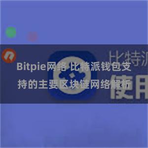 Bitpie网络 比特派钱包支持的主要区块链网络解析