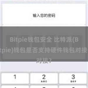 Bitpie钱包安全 比特派(Bitpie)钱包是否支持硬件钱包对接？