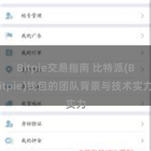 Bitpie交易指南 比特派(Bitpie)钱包的团队背景与技术实力