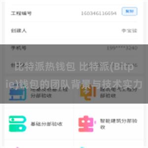 比特派热钱包 比特派(Bitpie)钱包的团队背景与技术实力