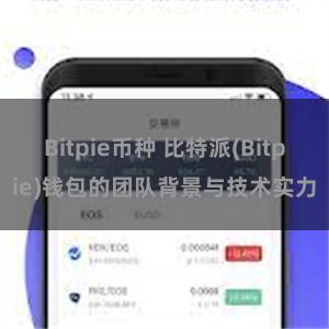 Bitpie币种 比特派(Bitpie)钱包的团队背景与技术实力