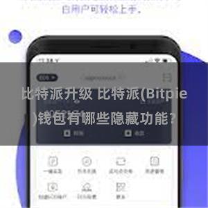 比特派升级 比特派(Bitpie)钱包有哪些隐藏功能？