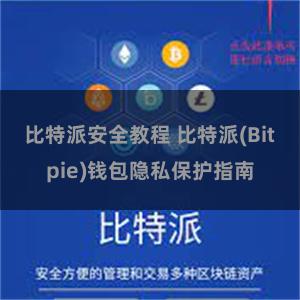 比特派安全教程 比特派(Bitpie)钱包隐私保护指南