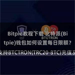 Bitpie教程下载 比特派(Bitpie)钱包如何设置每日限额？