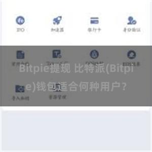 Bitpie提现 比特派(Bitpie)钱包适合何种用户？