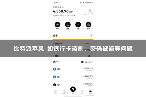 比特派苹果  如银行卡盗刷、密码被盗等问题