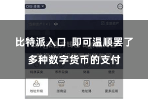 比特派入口  即可温顺罢了多种数字货币的支付