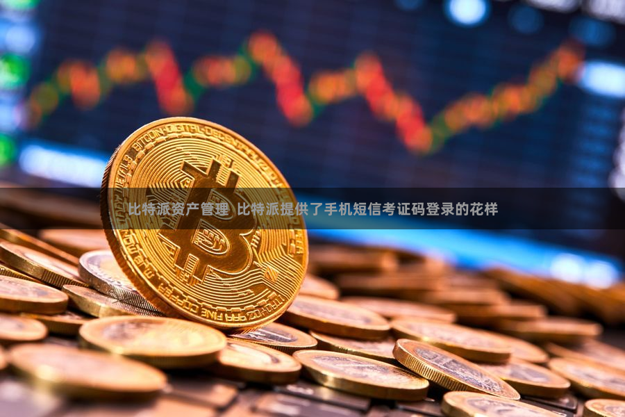 比特派资产管理  比特派提供了手机短信考证码登录的花样