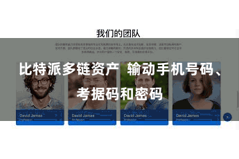 比特派多链资产  输动手机号码、考据码和密码
