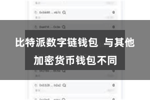 比特派数字链钱包  与其他加密货币钱包不同